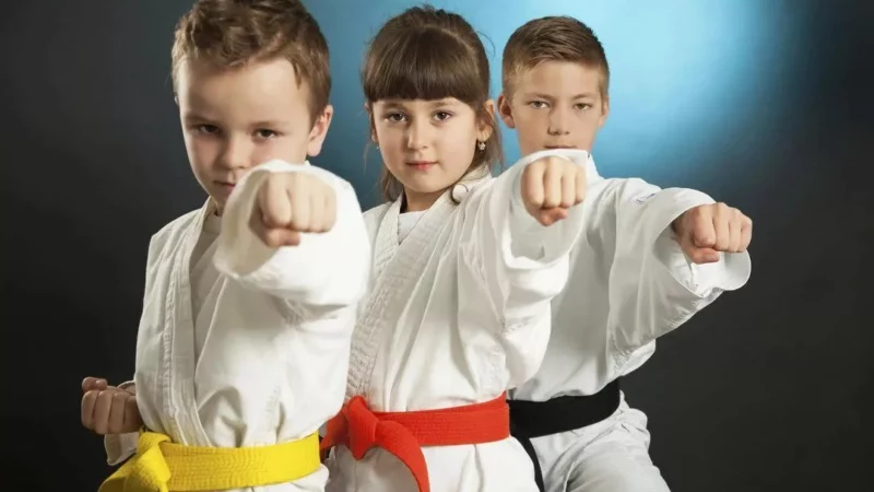 Сила и гармония: боевые искусства для детей